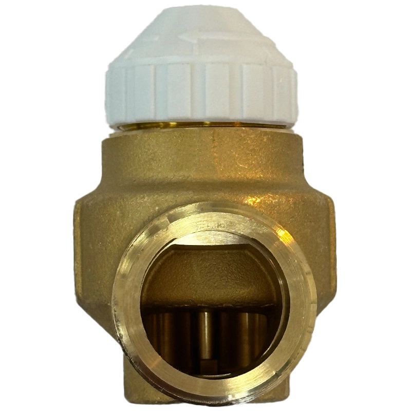21311P - Watts <br>Linear Zon Control Valve - 5