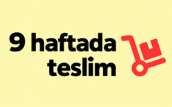 Ürünü hemen şimdi satın alabilirsiniz ve 9 hafta içerisinde tarafınıza sevkini gerçekleştirebiliriz.