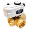 Ball Valves