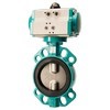 Butterfly Valves