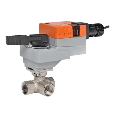 BELIMO - B316+LRB24-3-T