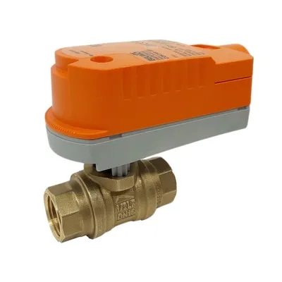 BELIMO - EXT-B2050-PWV-NPT+CQKX24
