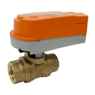 BELIMO - EXT-B2050-PWV-NPT+CQX24-3