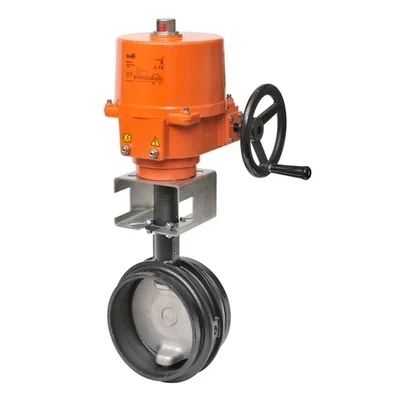 BELIMO - F6250VIC+SY5-24MFT